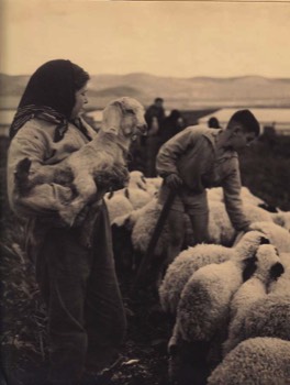  Children of Jagur, shepherding & tending the ewelambs 